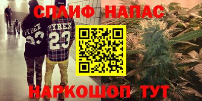 прущие грибы Нарткала
