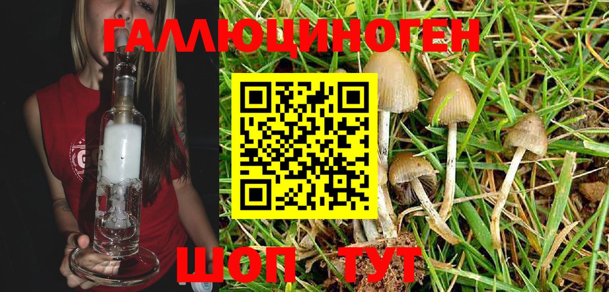 Псилоцибиновые грибы Psilocybe  Вход с VPN  Фрязино 
