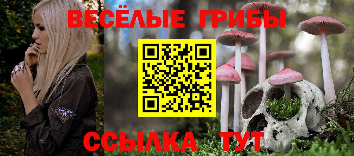 Псилоцибиновые грибы Magic Shrooms Фрязино
